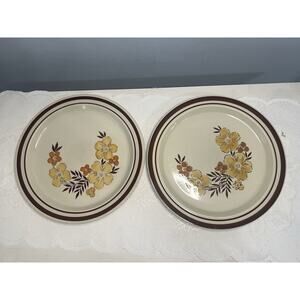 Vintage Newcor Stoneware “Laurel” Pattern Dinner Plate 10.5”
